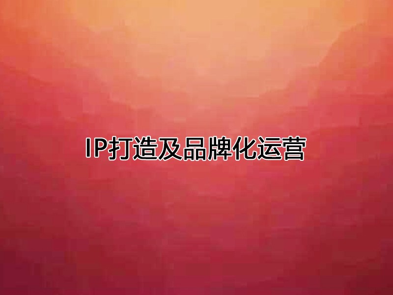 IP打造及品牌化运营